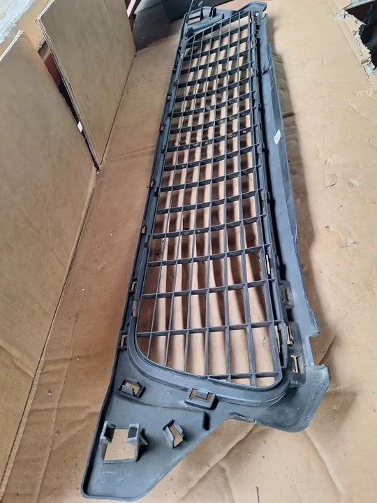 Griglia Paraurti Anteriore Dacia Duster I image 6