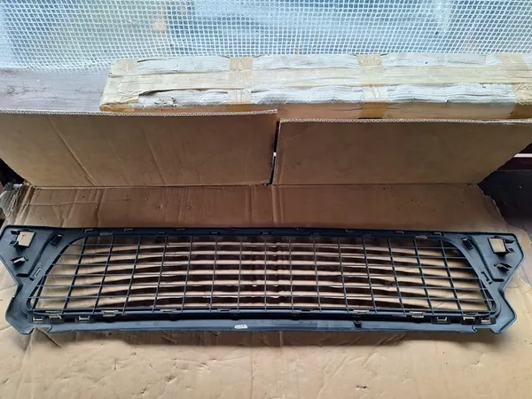 Griglia Paraurti Anteriore Dacia Duster I image 7