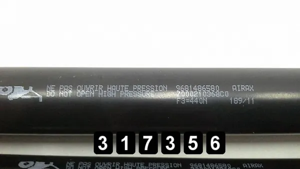 OEM AM-317356 Verins de hayon pour Citroen C3 Picasso image 3