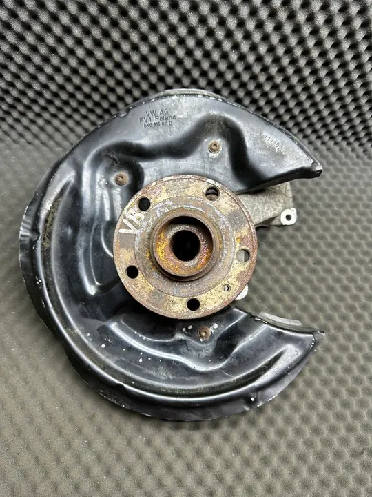 Copertura snodo posteriore sinistro Volkswagen Passat image 2