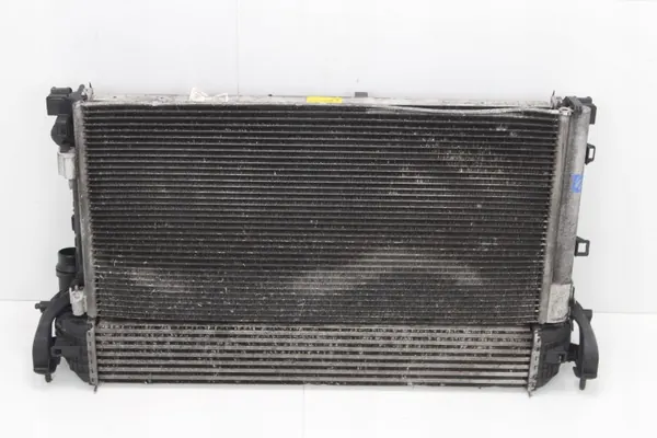 Radiatorset OEM 360212025 voor Renault Laguna III Coupé image 2