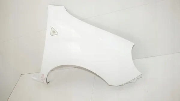 Para-lama dianteiro direito OEM 360196450 para Renault Kangoo II image 3