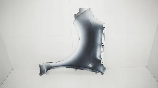 Para-lama dianteiro direito OEM 360196450 para Renault Kangoo II image 8