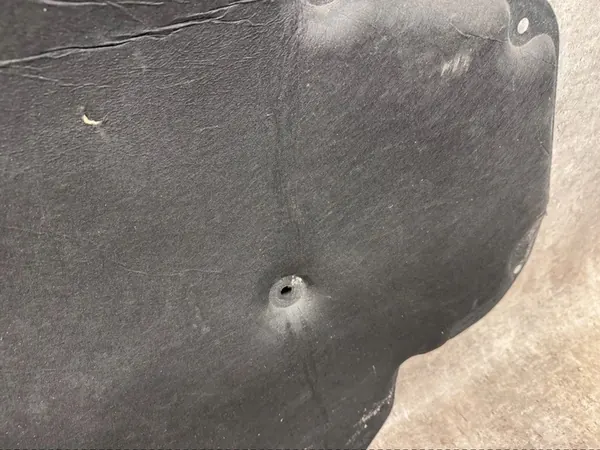 Isolamento do Capô BMW X5 G05 2018- image 2