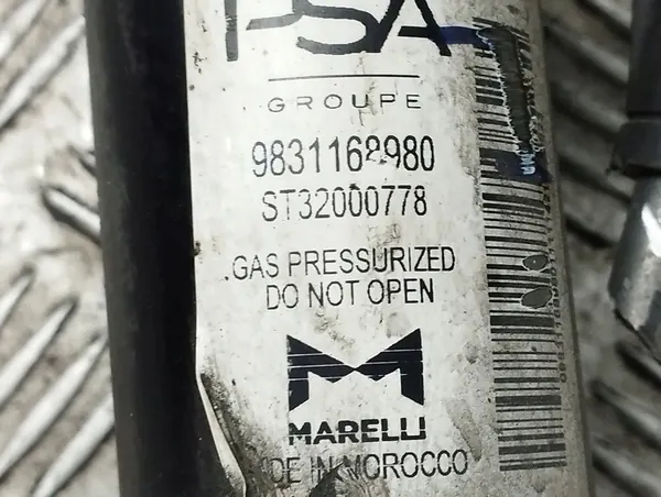 Ammortizzatore Anteriore Destro PEUGEOT 208 2023 OEM 9831168980 image 2