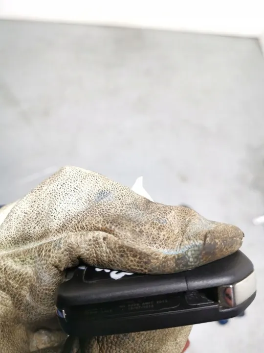 Schlüssel oder Karte Honda Jazz OEM FBZ13229 - Gebraucht image 4
