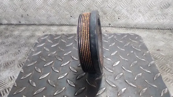 OEM 123XXX Krukaspoelie voor BMW E91 2.0 image 4