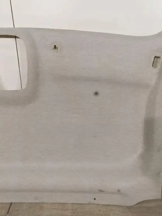 OEM 93868983 Plafonnier noir pour Renault Trafic III image 2