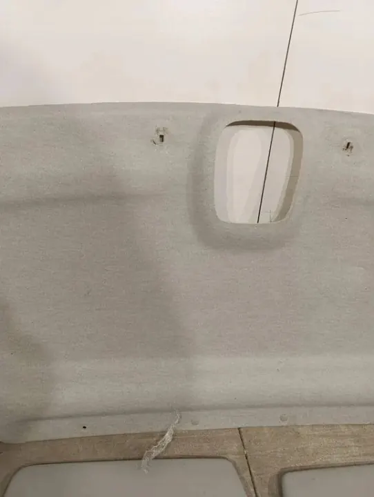 OEM 93868983 Plafonnier noir pour Renault Trafic III image 3