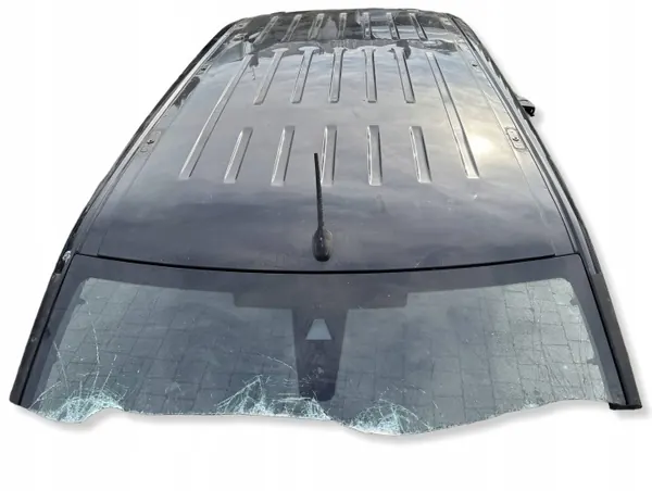 Gebrauchtes Dach OEM AAF695 für Citroen Berlingo IV image 2