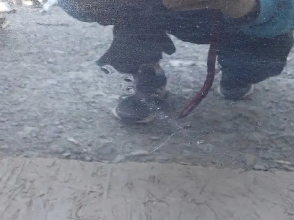 Vänster bakdörr Skoda Octavia 3 2013-2020 OEM 5E5833055B image 6