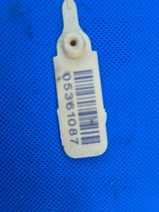 Ruitensproeierpomp BMW E90 E92 E39 E60 E63 E65 E84 E83 E85 image 3