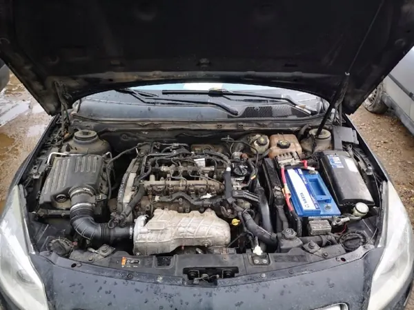 Oliepomp OEM 55566000 voor Opel Insignia 2.0L image 8