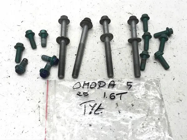 CHERY OMODA 5 C5 1.6 T-GDI 2025 Vis de Montage Arrière image 2