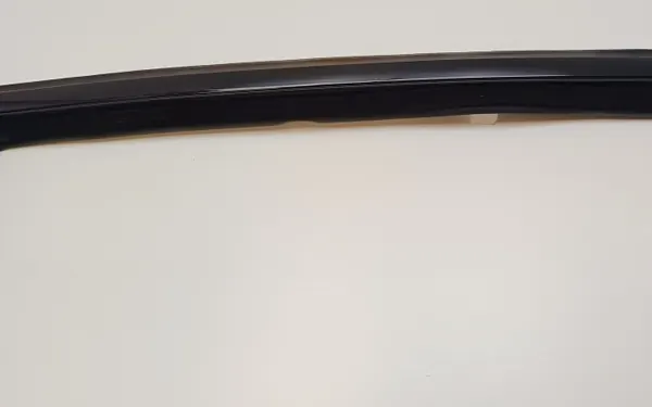 Fönsterpackning OEM 16506310 Höger bakdörr BMW X6 G06 image 4