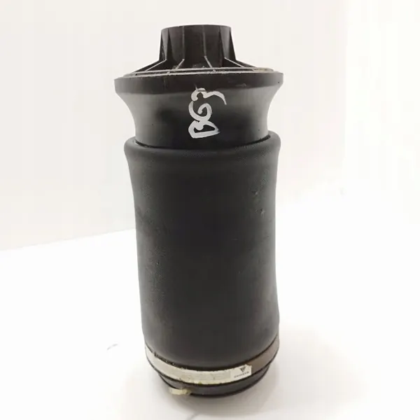 Bolsa suspensión trasera Mercedes GL X164 OEM RTX132033 image 4