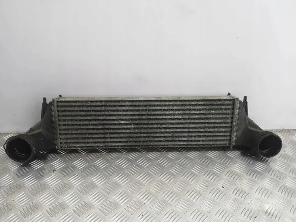 Intercooler BMW OEM 1751779123102 para X5 E53 2006 image 2