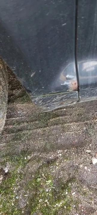 Fram vänster skärm för AUDI A3 8P 03-08 - Svart LZ9Y image 3