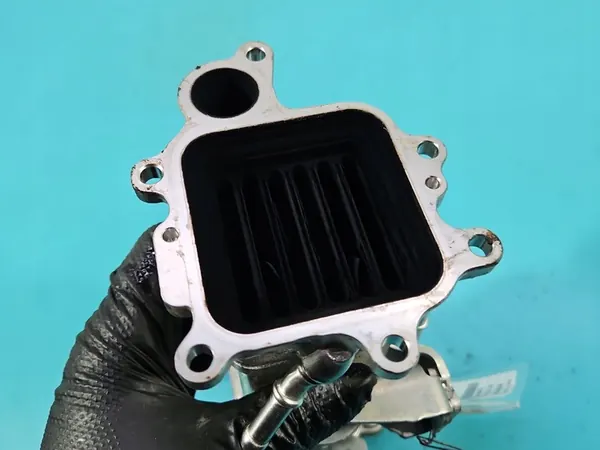 Enfriador de escape BMW X5 F15 3.0D image 8