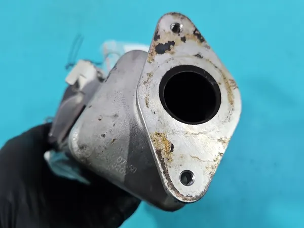 Enfriador de escape BMW X5 F15 3.0D image 9