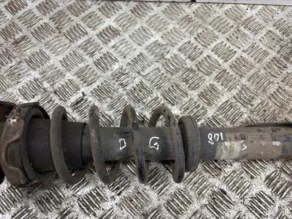 Ammortizzatore posteriore Mini Cooper Countryman R60 2011 9807016 image 4