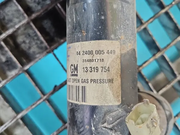 Ammortizzatore Posteriore Destro Opel Insignia A image 3