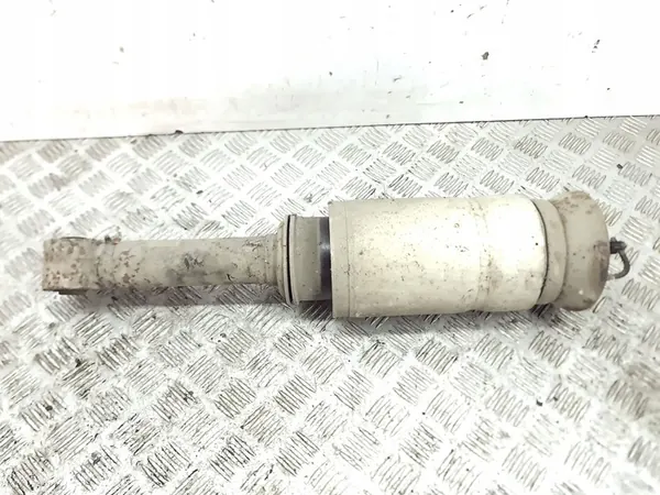 Amortisseur pneumatique avant Land Rover Range Rover Sport L320 2006 image 7