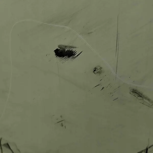 MERCEDES CLASE C 205 COUPE PARAGOLPES TRASERO AMG PTS image 6