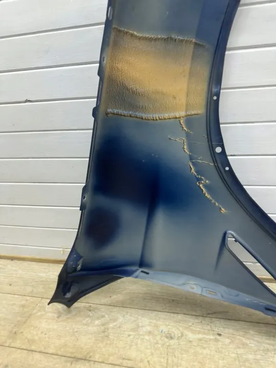 Parafango anteriore sinistro BMW X3 G01 F98 X4 G02 2017- OEM image 10