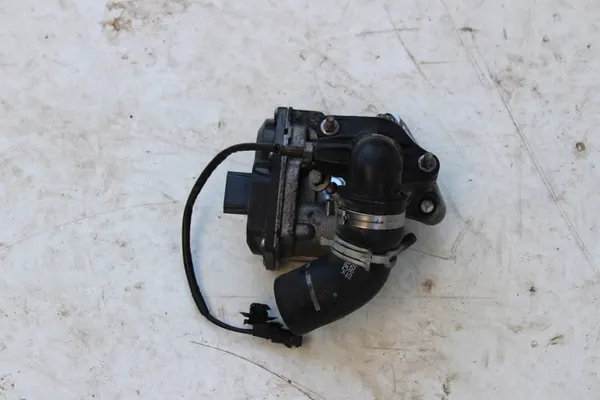 Renault Gasklep H8201143495 image 2