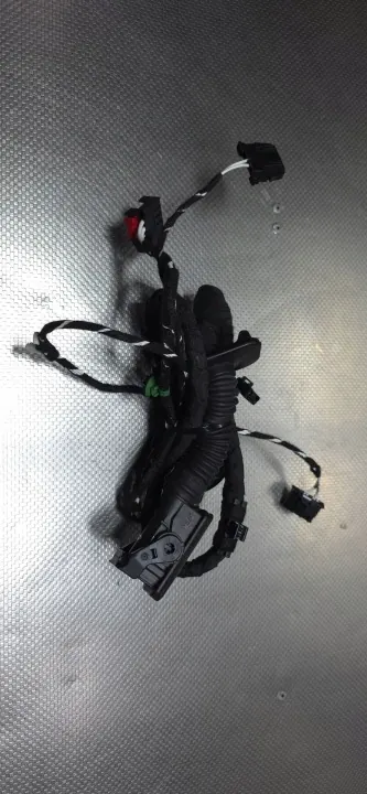 OEM 2GA971693H Dörrkabel för VW T-Roc image 2