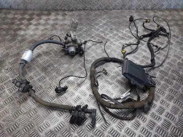 Kit GPL OEM 67R-010249 Lovato Bosch 0261230373 image 2
