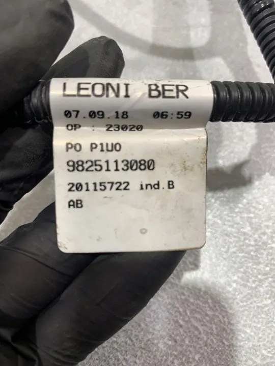 Cableado PDC OEM FBZ18457 para Opel Grandland X image 5