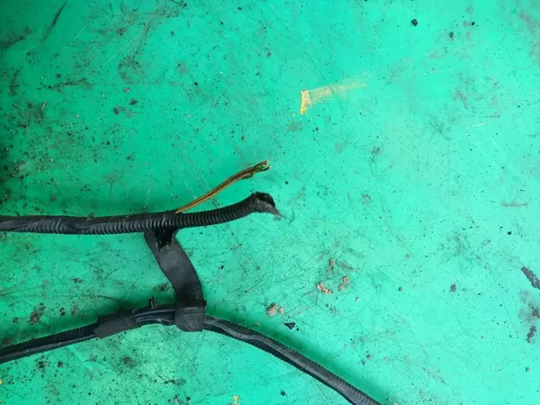 Front Windshield Washer Nozzles BMW X5 E70 image 5