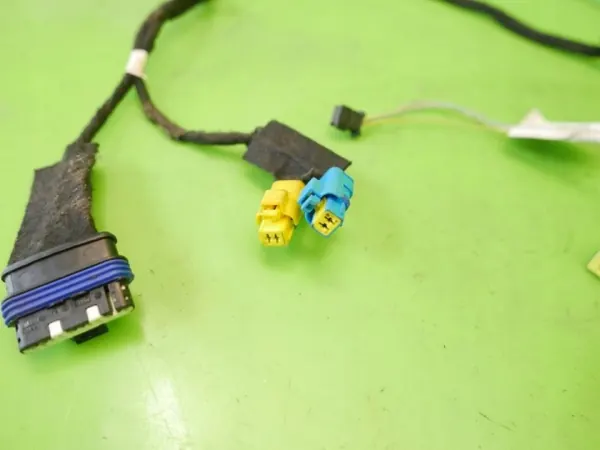 OEM 9658006080 Oviopastus oikea etu image 6