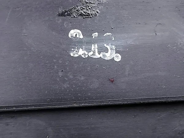 Chevrolet Trax 2013 Moldura de capô 9635280 image 5