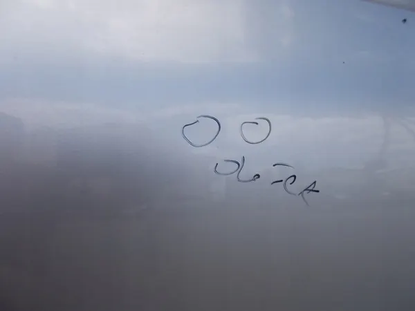 Porta Dianteira Direita Volkswagen Passat B5 FL 3B08TTJR image 10