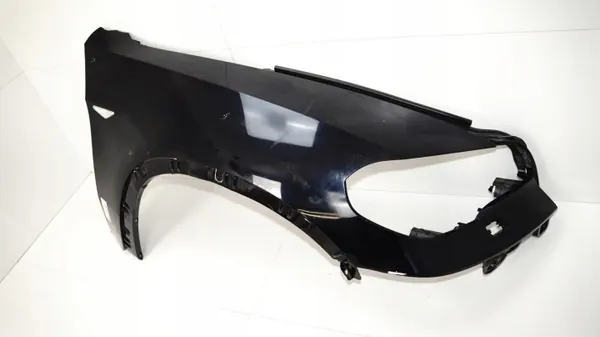 Aile avant droite OEM 368446411 BMW X5 E70 07-10 image 3