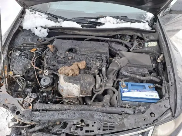 Cerrojo puerta trasera izquierda OEM as2 EIS-2298974 Honda image 6