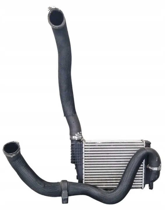 Intercooler OEM 9807540580 para Peugeot Expert III image 2