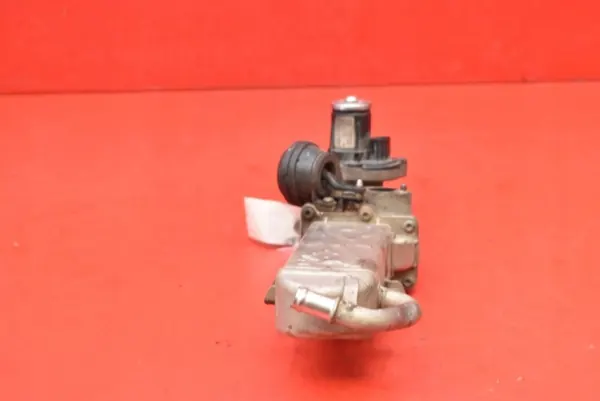 EGR-ventil OEM 0280751016 för VW Tiguan 2.0 TDI image 5