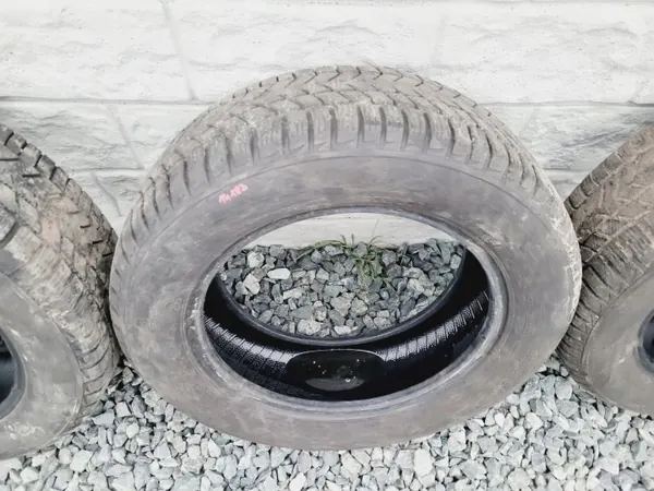 Neumáticos Invierno OEM 205/60/R16 Peugeot Partner IV image 6