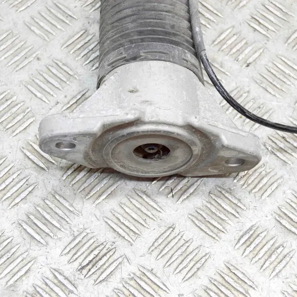 Amortizzatore posteriore sinistro Mercedes-Benz GLS X166 2020 A1673200302 image 4