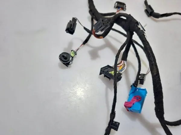 Harness puerta delantera derecha OEM 7N0971120FK image 4