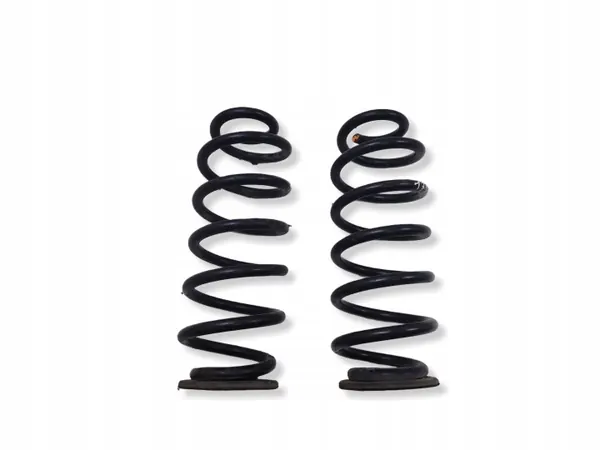 Muelle trasero OEM NA para Seat Leon (1P) 2009 image 2