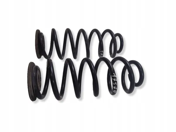 Muelle trasero OEM NA para Seat Leon (1P) 2009 image 3