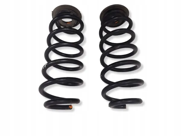 Muelle trasero OEM NA para Seat Leon (1P) 2009 image 5