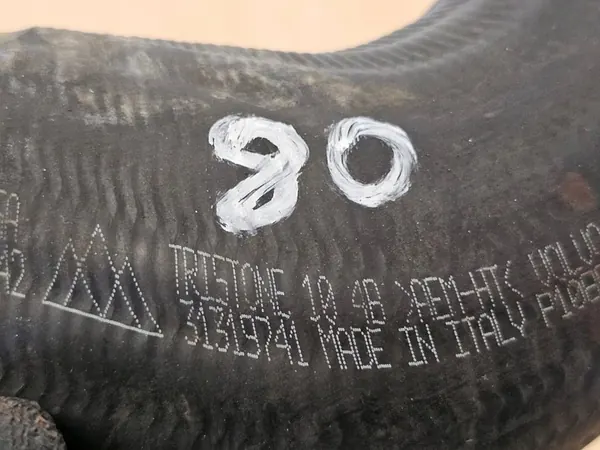 Turbo Intercooler Schlauch Volvo V40 2.0 D3 D4 31319741 image 5