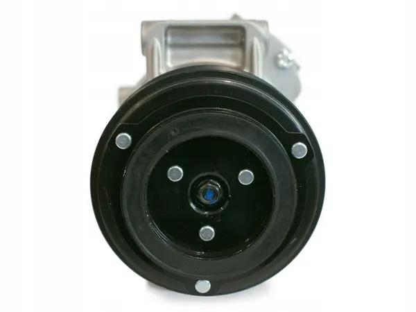 Compresseur Climatisation Chevrolet EKL30784-ZA image 3