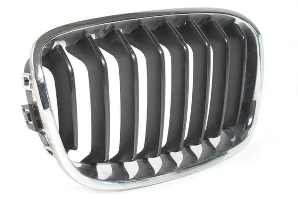 BMW F20 F21 Right Grill Insert 7239022 image 2